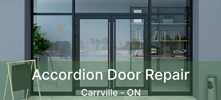  Accordion Door Repair Carrville - ON
