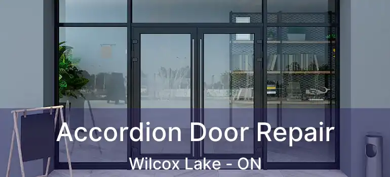  Accordion Door Repair Wilcox Lake - ON