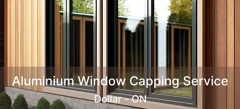  Aluminium Window Capping Service Dollar - ON
