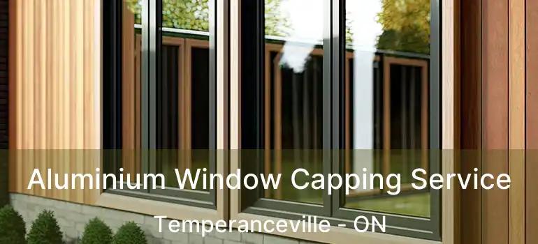  Aluminium Window Capping Service Temperanceville - ON