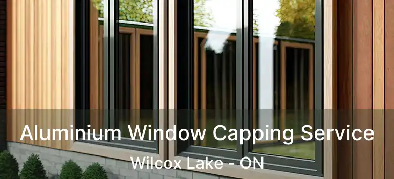  Aluminium Window Capping Service Wilcox Lake - ON