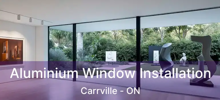  Aluminium Window Installation Carrville - ON