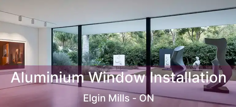  Aluminium Window Installation Elgin Mills - ON