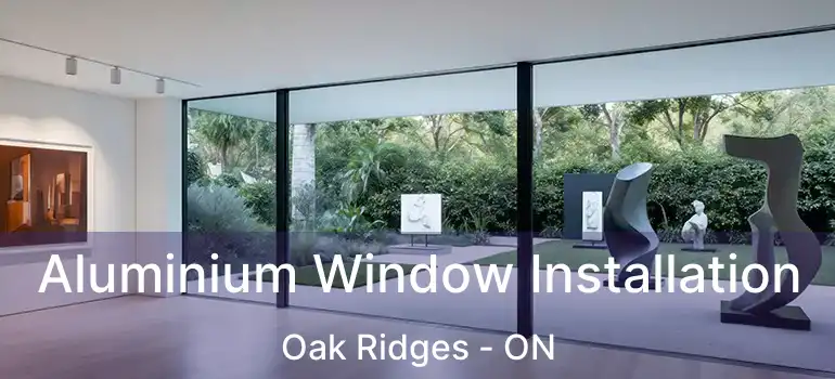  Aluminium Window Installation Oak Ridges - ON