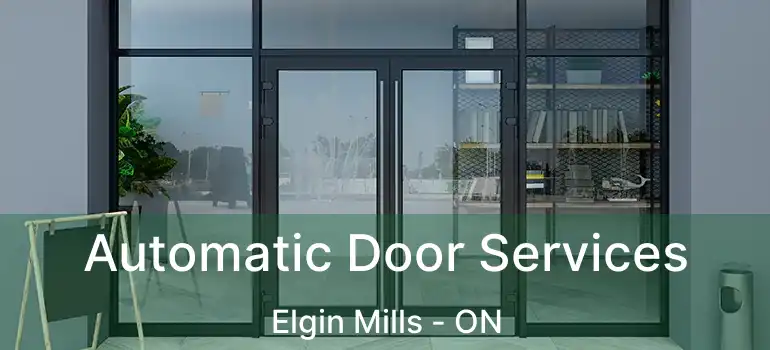  Automatic Door Services Elgin Mills - ON