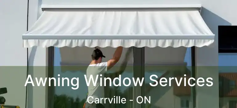  Awning Window Services Carrville - ON