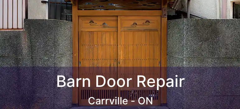  Barn Door Repair Carrville - ON