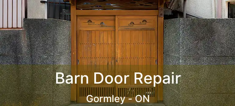  Barn Door Repair Gormley - ON