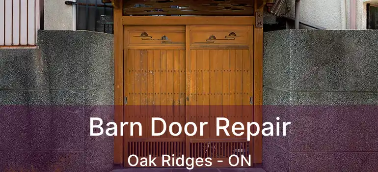  Barn Door Repair Oak Ridges - ON