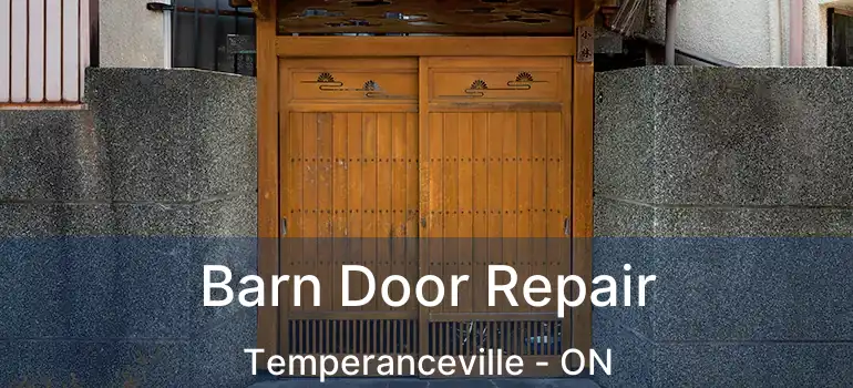  Barn Door Repair Temperanceville - ON