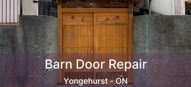  Barn Door Repair Yongehurst - ON