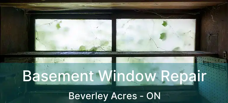  Basement Window Repair Beverley Acres - ON
