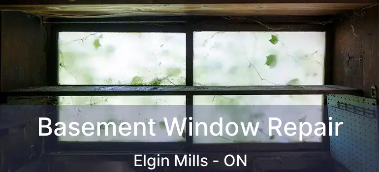  Basement Window Repair Elgin Mills - ON