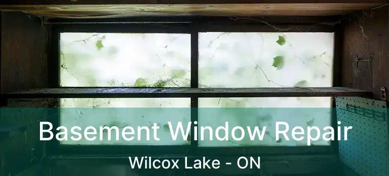  Basement Window Repair Wilcox Lake - ON
