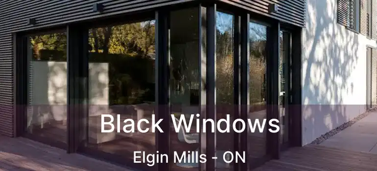  Black Windows Elgin Mills - ON