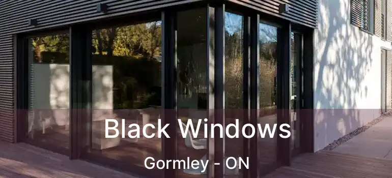  Black Windows Gormley - ON