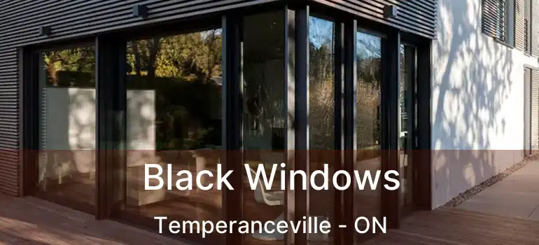  Black Windows Temperanceville - ON