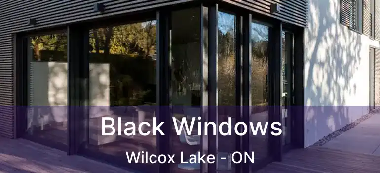  Black Windows Wilcox Lake - ON