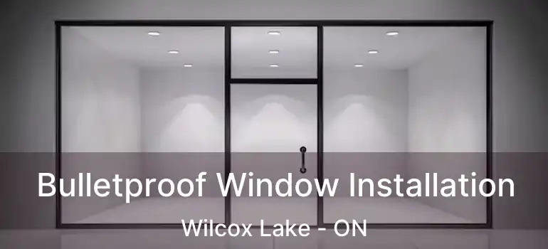  Bulletproof Window Installation Wilcox Lake - ON