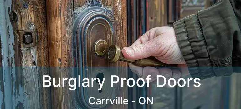  Burglary Proof Doors Carrville - ON