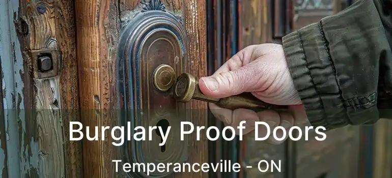 Burglary Proof Doors Temperanceville - ON