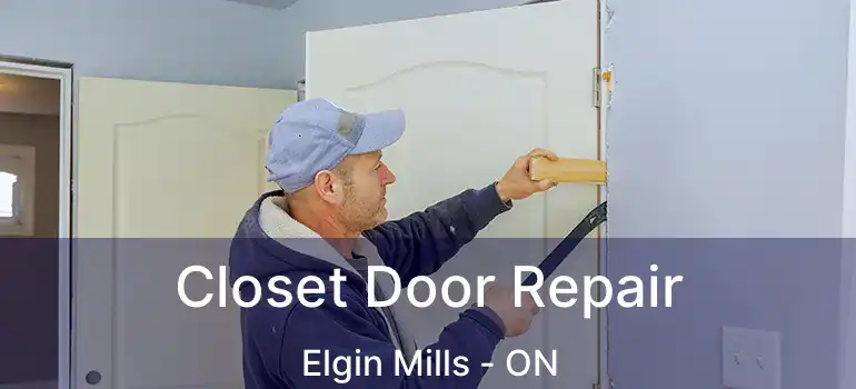 Closet Door Repair Elgin Mills - ON