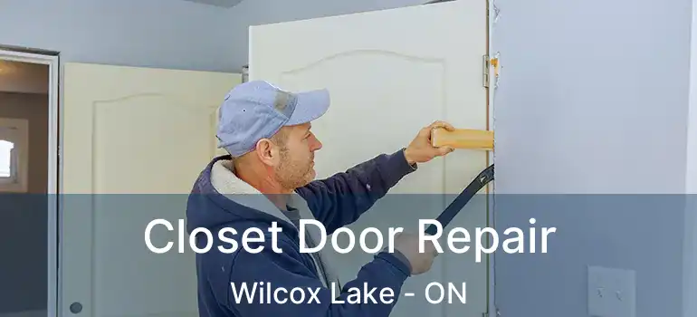  Closet Door Repair Wilcox Lake - ON