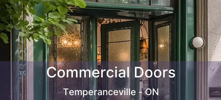  Commercial Doors Temperanceville - ON