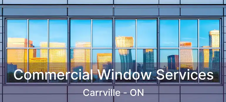  Commercial Window Services Carrville - ON