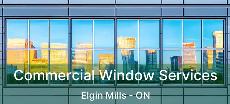  Commercial Window Services Elgin Mills - ON