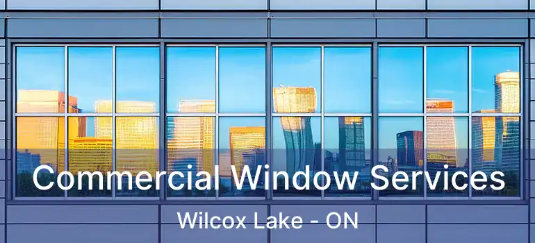  Commercial Window Services Wilcox Lake - ON