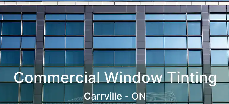 Commercial Window Tinting Carrville - ON
