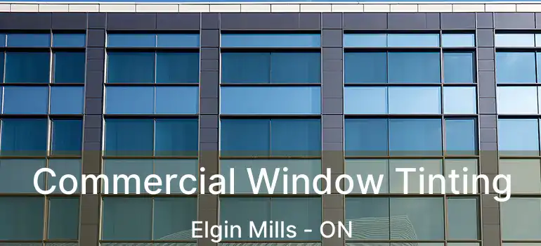 Commercial Window Tinting Elgin Mills - ON