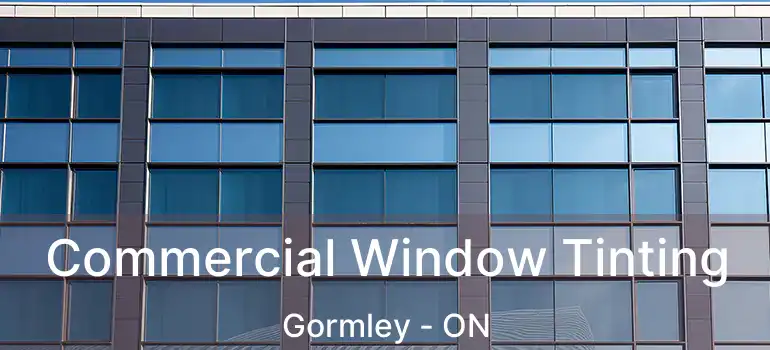  Commercial Window Tinting Gormley - ON