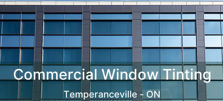  Commercial Window Tinting Temperanceville - ON
