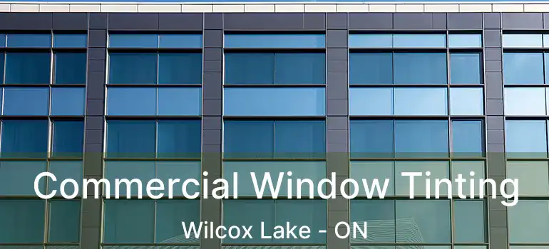  Commercial Window Tinting Wilcox Lake - ON