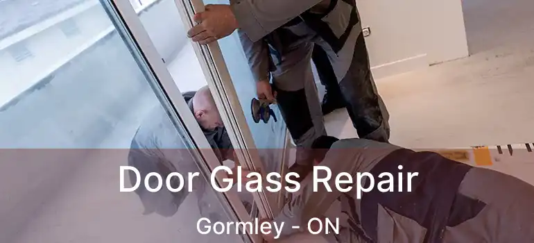  Door Glass Repair Gormley - ON