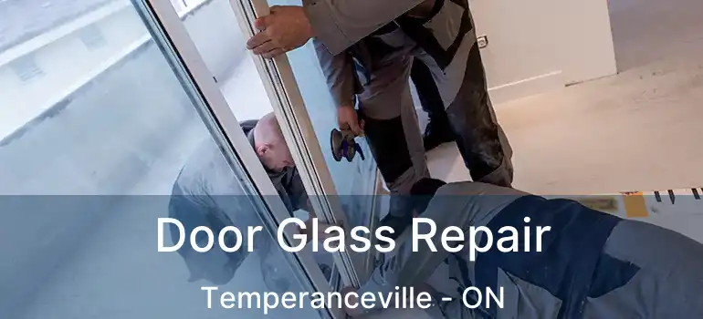  Door Glass Repair Temperanceville - ON