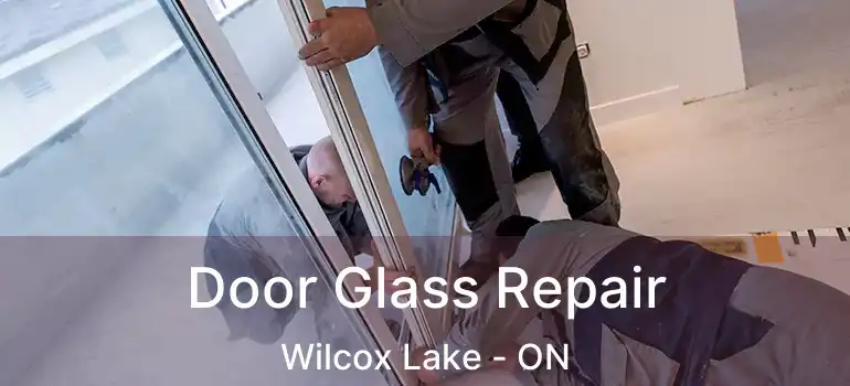  Door Glass Repair Wilcox Lake - ON