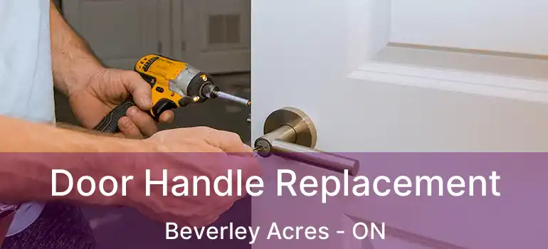  Door Handle Replacement Beverley Acres - ON
