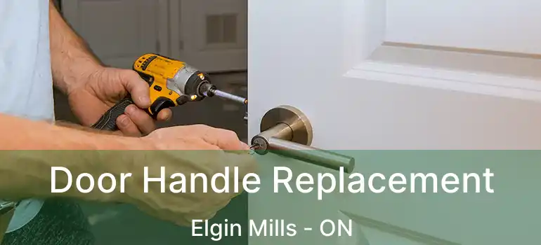  Door Handle Replacement Elgin Mills - ON