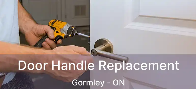  Door Handle Replacement Gormley - ON