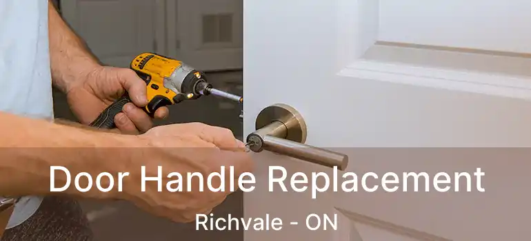  Door Handle Replacement Richvale - ON