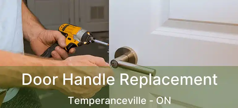  Door Handle Replacement Temperanceville - ON