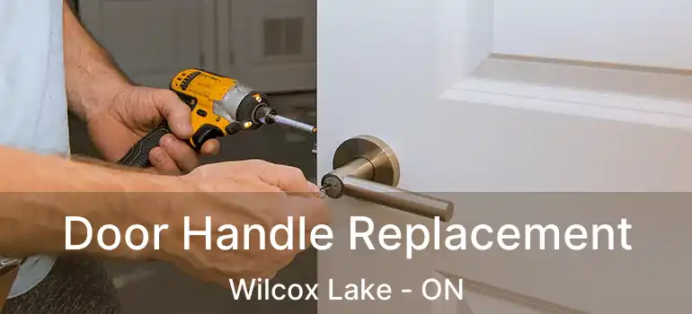  Door Handle Replacement Wilcox Lake - ON