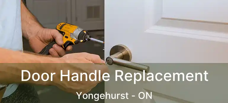  Door Handle Replacement Yongehurst - ON