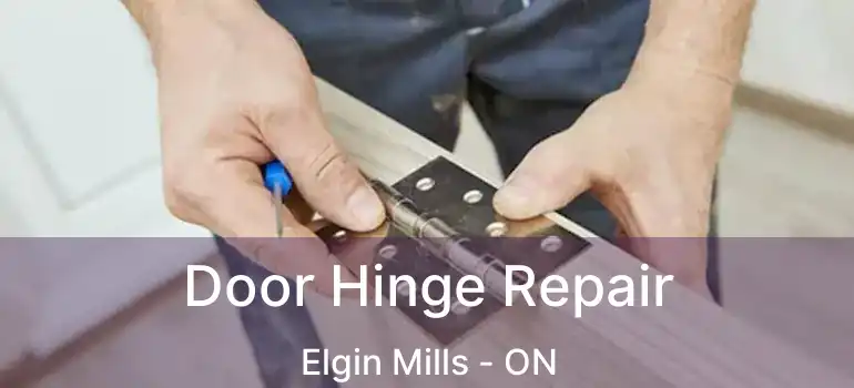  Door Hinge Repair Elgin Mills - ON