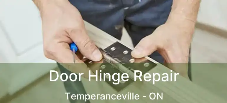  Door Hinge Repair Temperanceville - ON