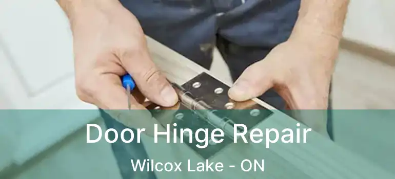  Door Hinge Repair Wilcox Lake - ON