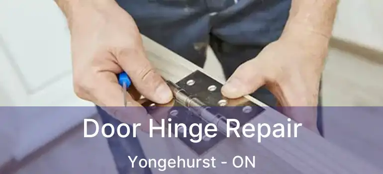  Door Hinge Repair Yongehurst - ON